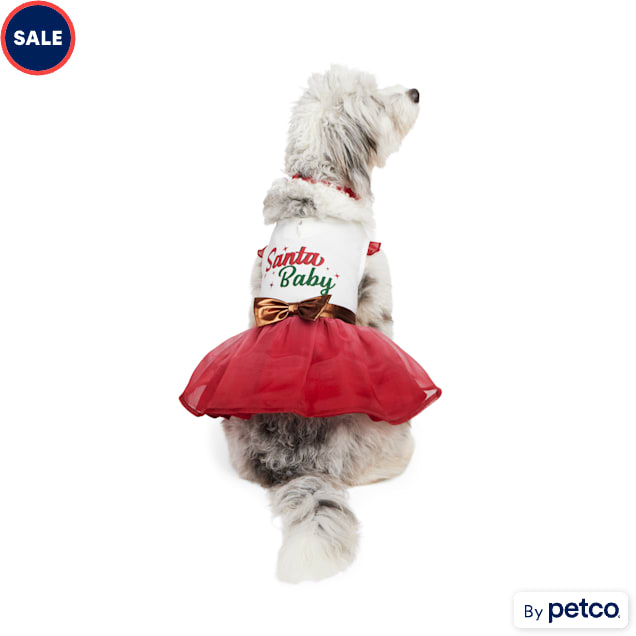 Santa suit shop for dogs small