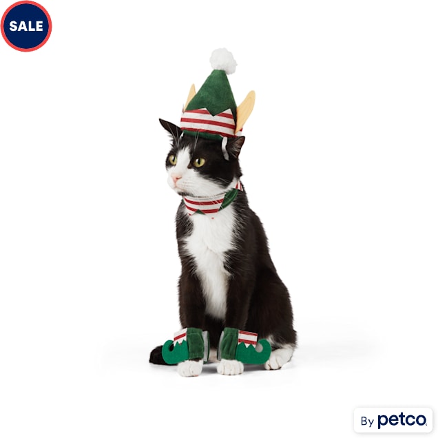 Cat elf costume store