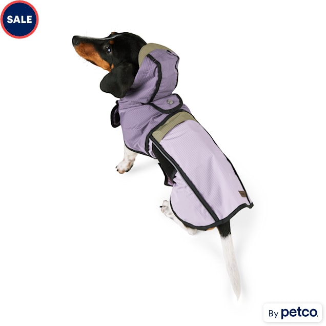 Reddy Purple and Sage Packable Jacket for Dogs X Small