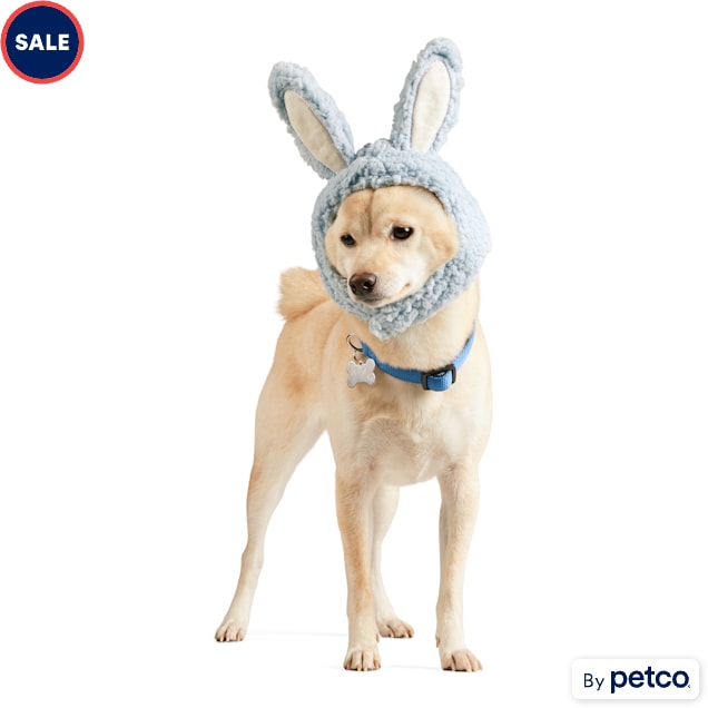 Bunny 2025 leash petco