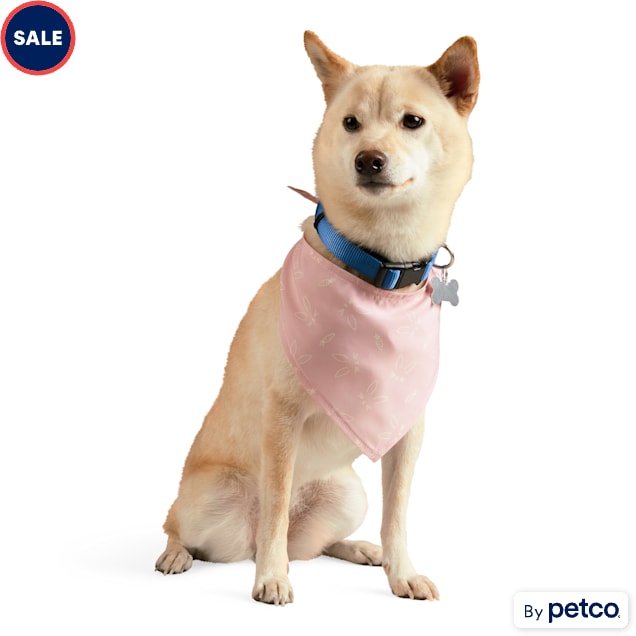 Petco clearance dog bandana