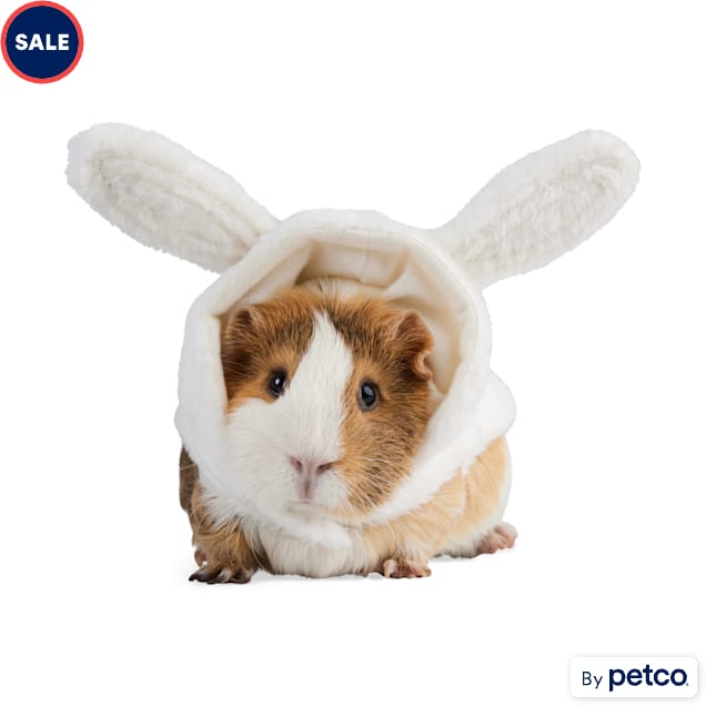 Petco bunnies hotsell