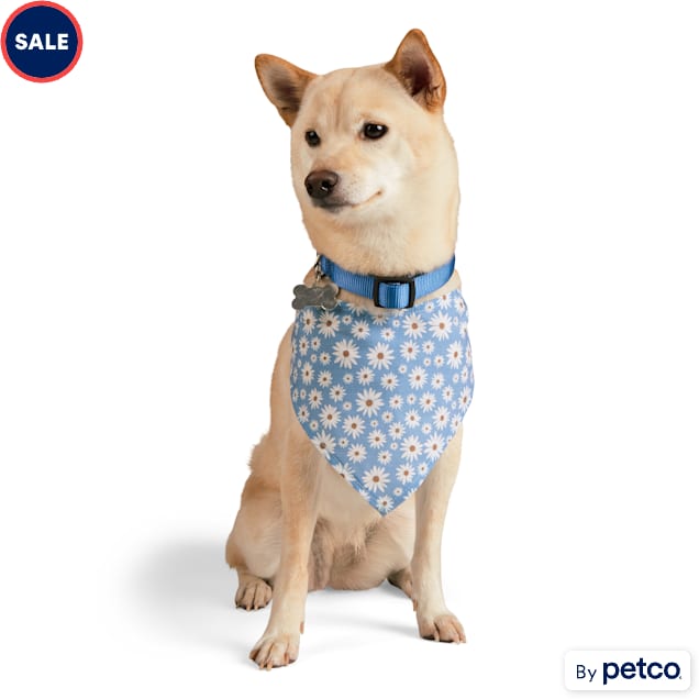 Started As A Bottle Daisy Bandana for Dogs X Small Small Blue