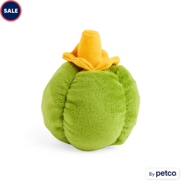 Petco bunny for sale deals