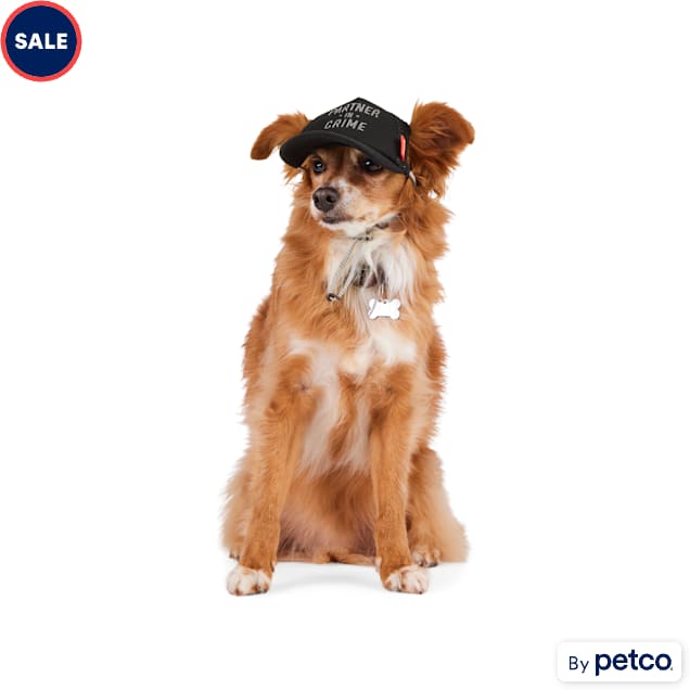 Petco dogs for sale top