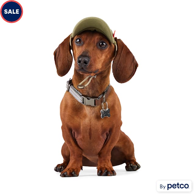 Reddy Olive Partner in Crime Hat for Dogs X Small Small Petco