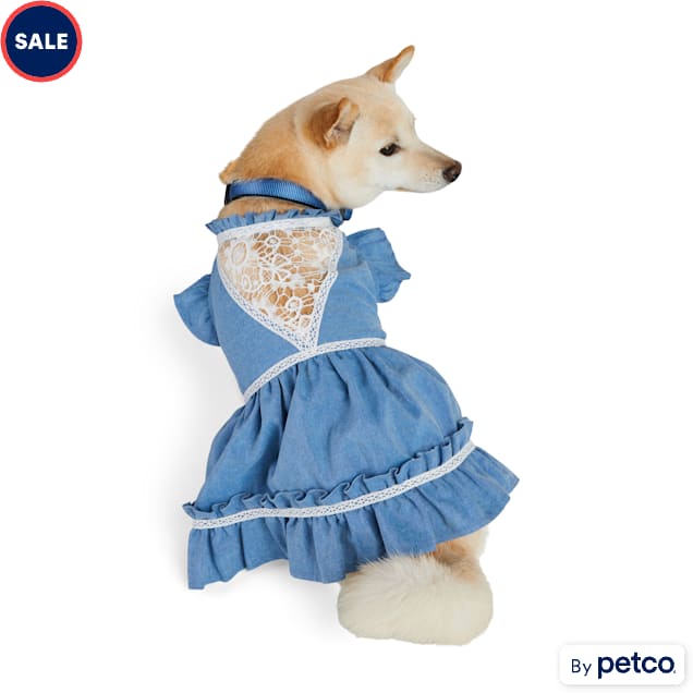 YOULY Chambray Lace Dog Dress, XX-Small, Blue - Carousel image #1