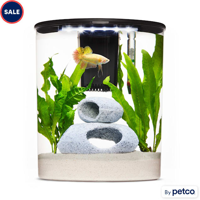 Petco fish tank deals sale