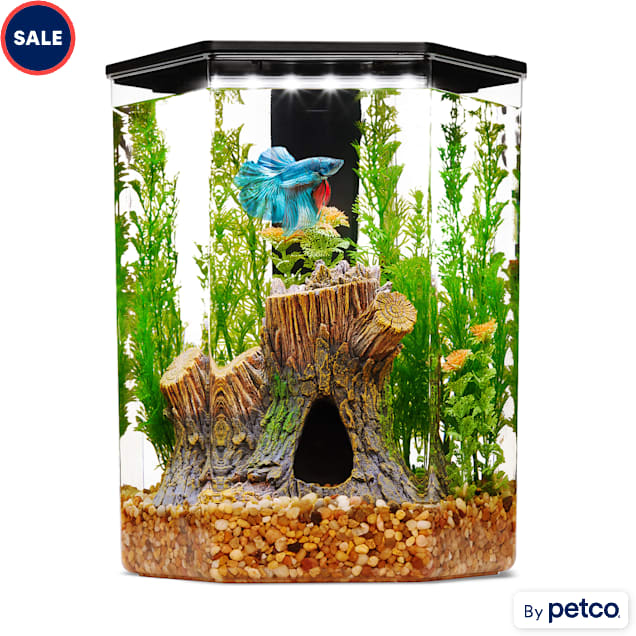 Petco fish tank accessories shop