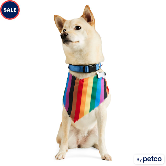 Petco bandana hot sale
