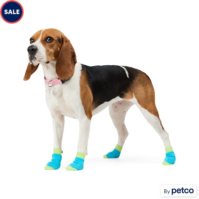 Dog shoes for summer petco shop