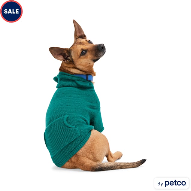 YOULY Teddy Sweater for Dogs XX Small Green Petco