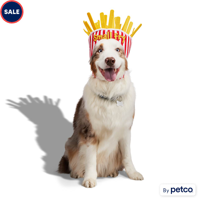Petco dogs for sale outlet