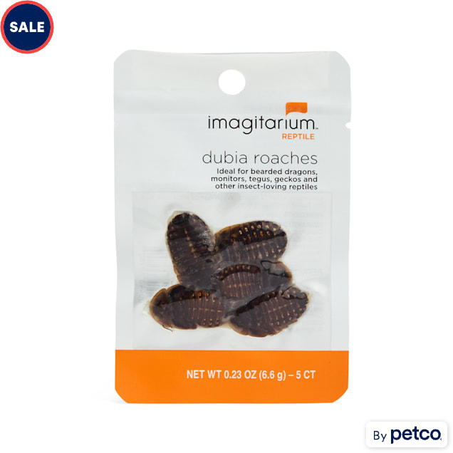 Imagitarium Dubia Cockroach, 0.23 oz., Count of 5 - Carousel image #1