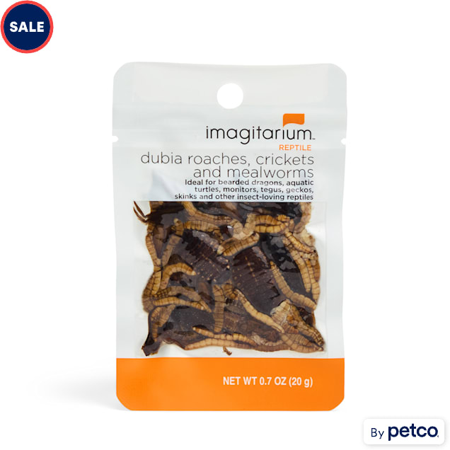 Imagitarium Insect Variety Pack, 0.7 oz. - Carousel image #1
