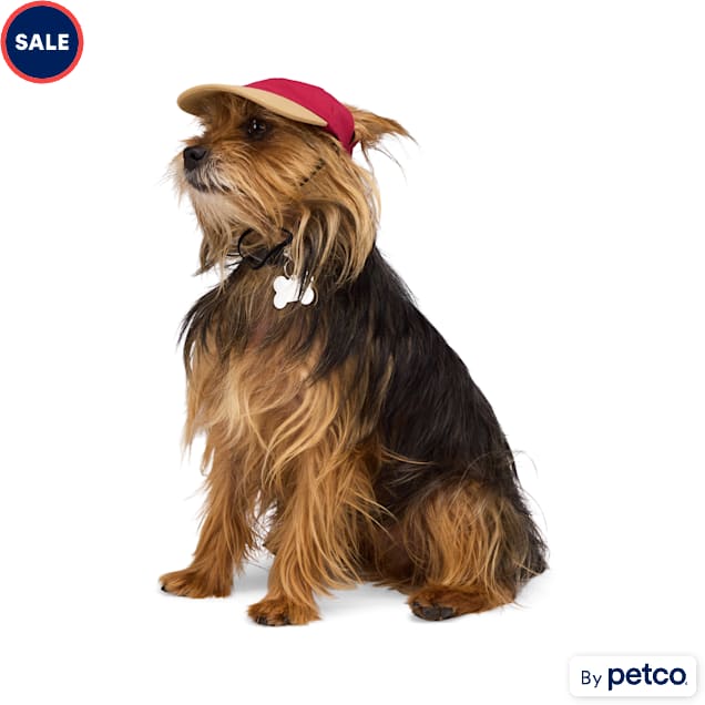Small dog visor on sale