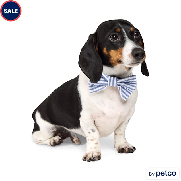 YOULY Striped Pet Bow Tie, Blue Stripe - Carousel image #1