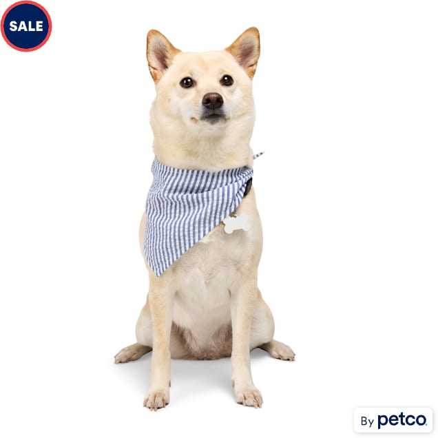 YOULY Striped Dog Bandana, Small/Medium, Blue Stripe - Carousel image #1