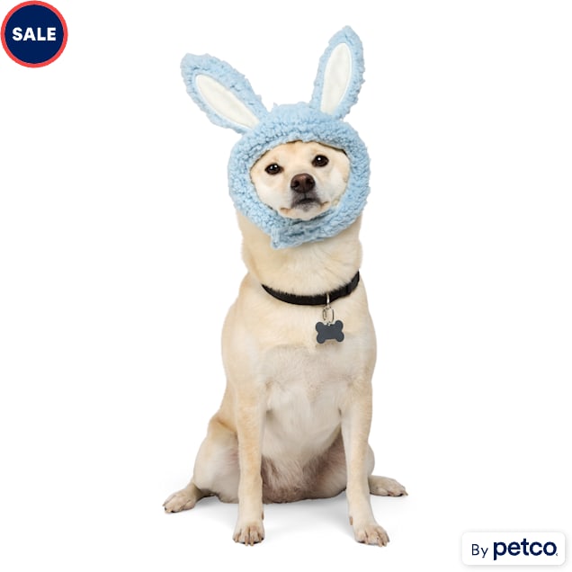 YOULY Bunny Ears Pet Hat, X-Small/Small, Blue - Carousel image #1