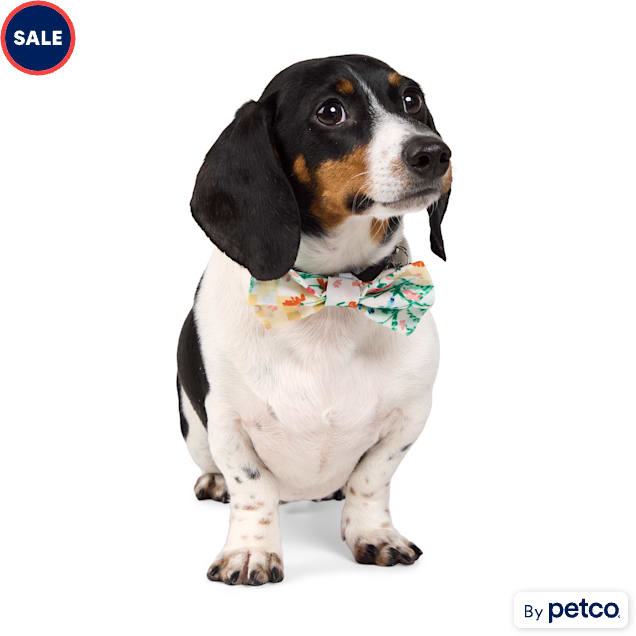 YOULY Floral Pet Bow Tie - Carousel image #1