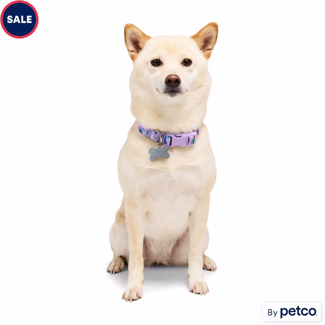 YOULY Butterfly Dog Collar, Lavender, Small - Carousel image #1