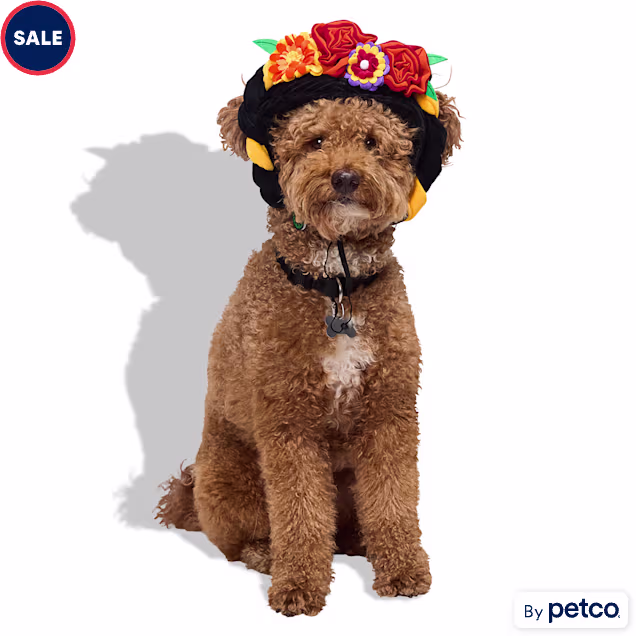 Bootique Dia de los Muertos Pet Costume Headpiece, Large/X-Large - Carousel image #1