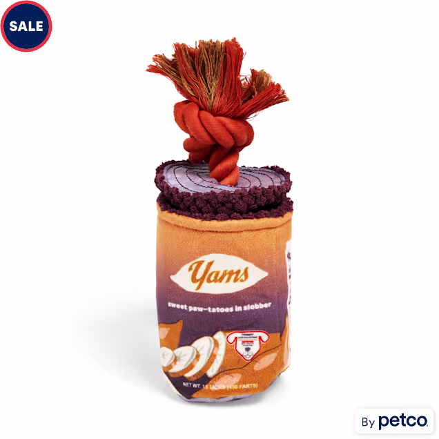 YOULY Yam Can Plush Rope Dog Toy, Small - Carousel image #1
