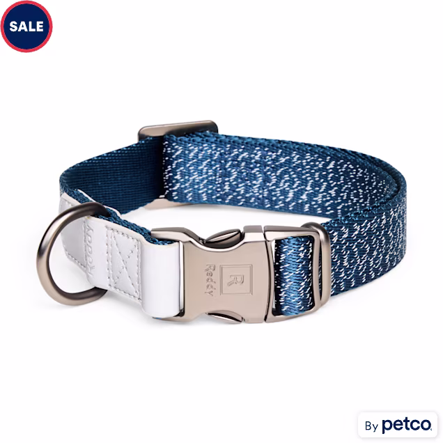 Reddy Reflective Webbing Adjustable Dog Collar, Blue, X-Small - Carousel image #1