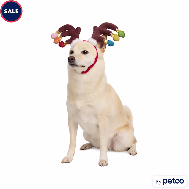 Merry Makings Light-Up Antler Costume Pet Headband, Large/X-Large - Carousel image #1