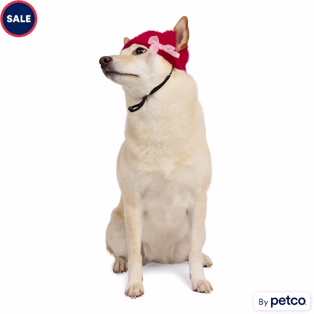 Merry Makings Bow Pet Beanie, X-Small/Small - Carousel image #1