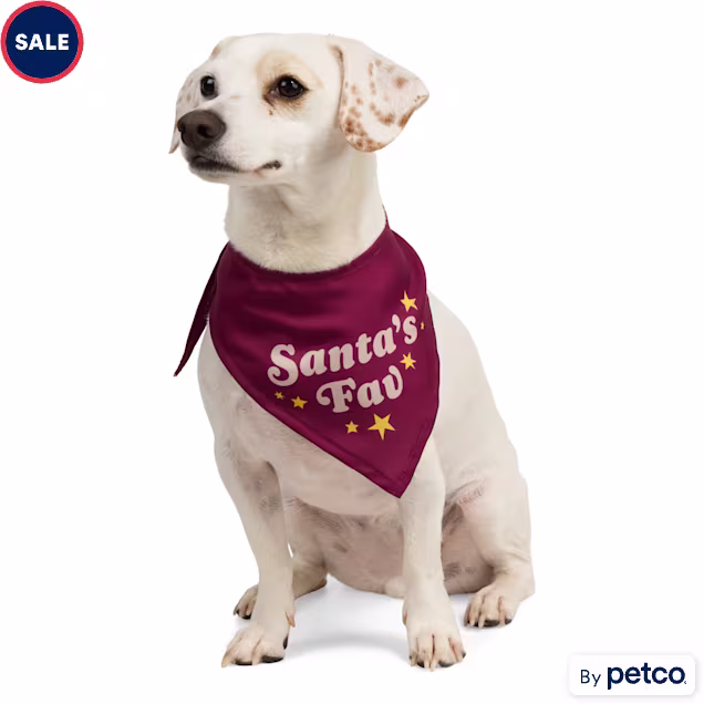 Merry Makings Santa's Fav Pet Bandana, Small/Medium - Carousel image #1