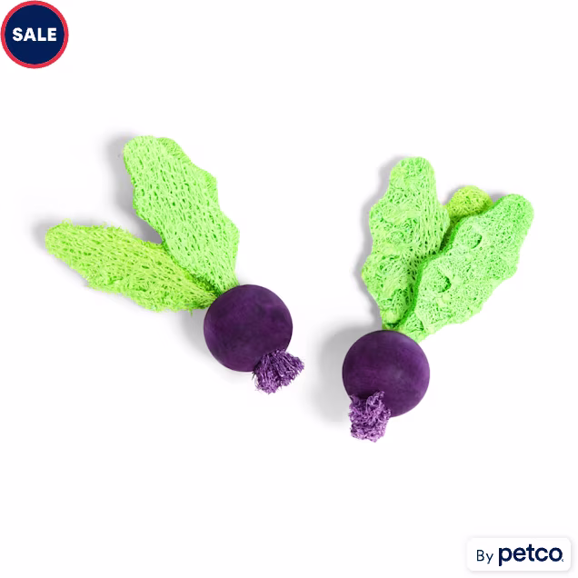 EveryYay Turnip-Shaped Small Animal Chew Toys, Set of 2 - Carousel image #1