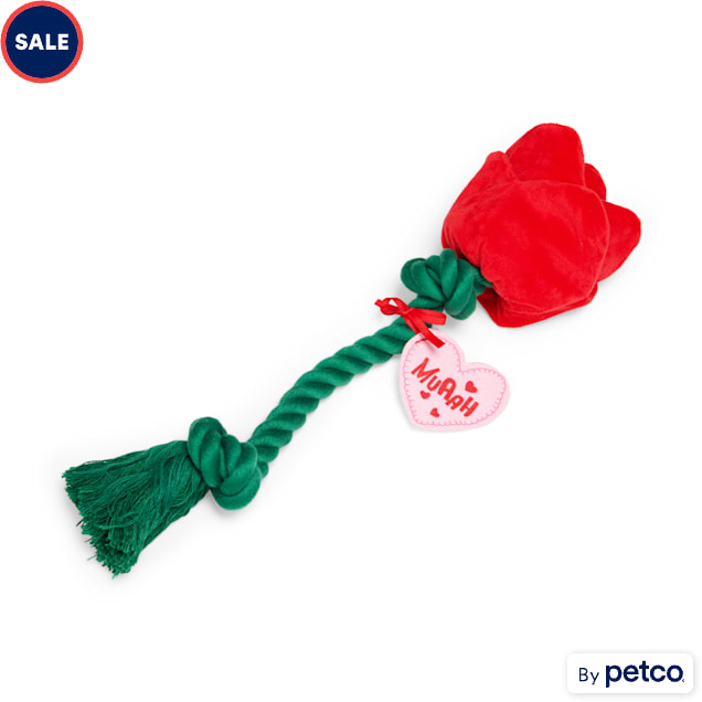 YOULY Rose Plush Rope Dog Toy, Large - Carousel image #1