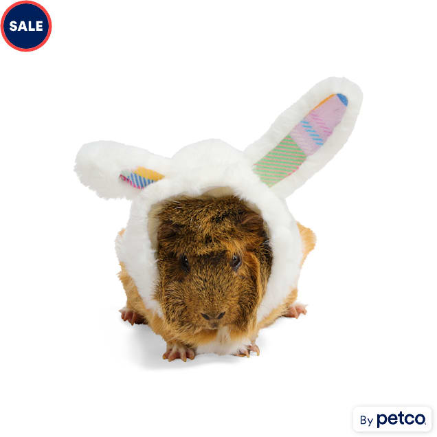 YOULY Easter Bunny Small Animal Hoodie - Carousel image #1