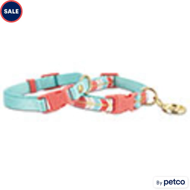 divorcio Pasto movimiento YOULY Turquoise & Coral Collars for Small Dogs, XX-Small, Pack of 2 | Petco
