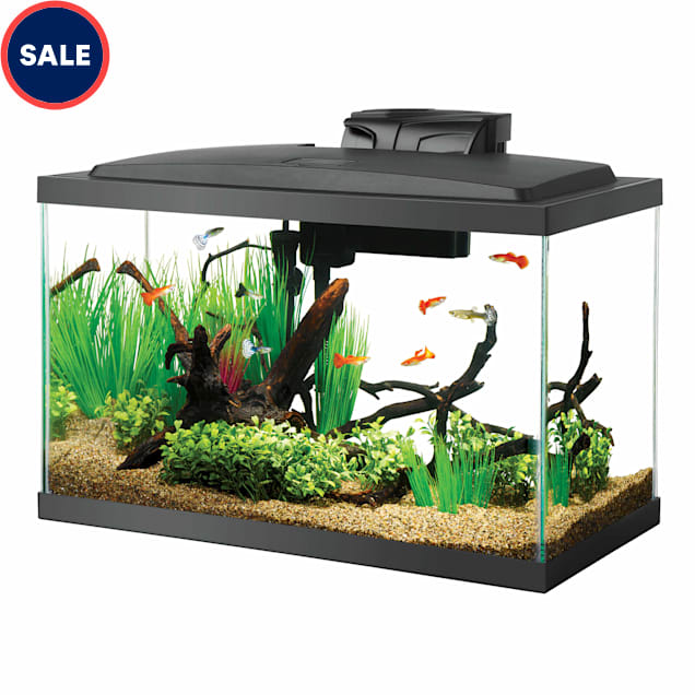 Petsmart starter fish sale tank