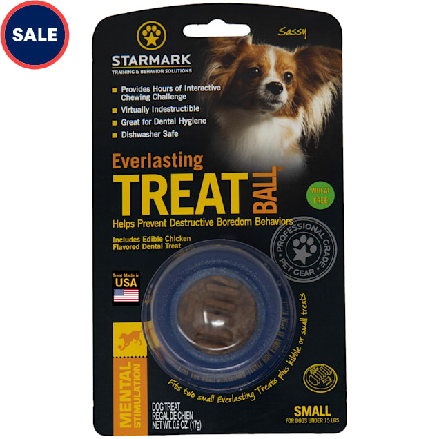 Starmark Everlasting Treat Ball With Dental Treat Dog Toy, Small - Carousel image #1