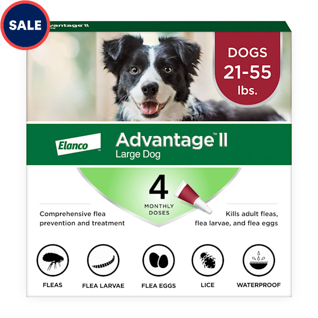 Advantage II Bayer Once-A-Month Topical Flea Treatment for Dogs & Puppies  21 to 55 lbs., Pack of 4