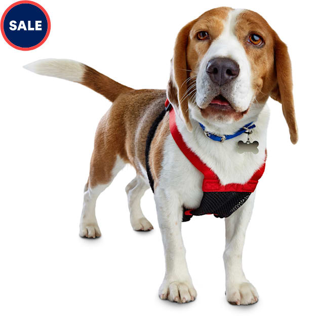 Good2Go Red No Pull Dog Harness, Large - Carousel image #1