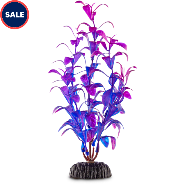 Imagitarium Purple & Blue Foreground Aquarium Plant - Carousel image #1