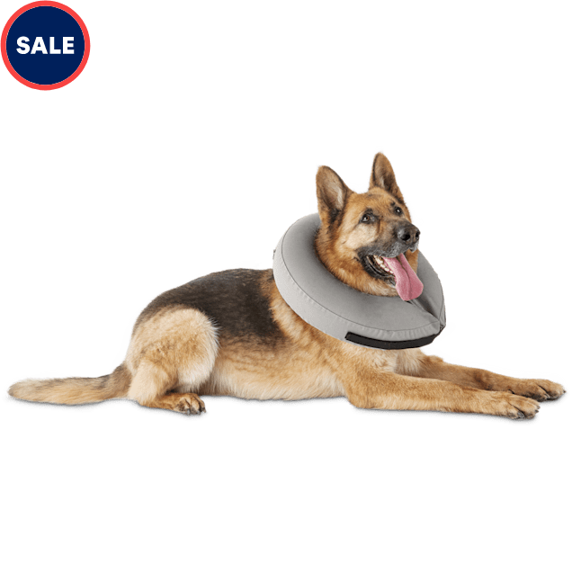 Well & Good Inflatable Collar for Dogs and Cats, Large/ X-Large - Carousel image #1