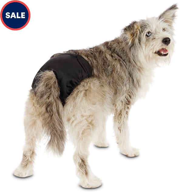 So Phresh Washable Diaper for Dogs, Large Petco