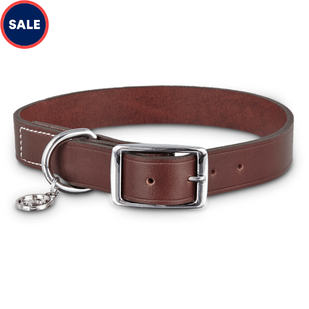 Bond & Co. Mahogany Leather Dog collar,  For Neck Sizes 18-21, Large/Extra Large - Carousel image #1