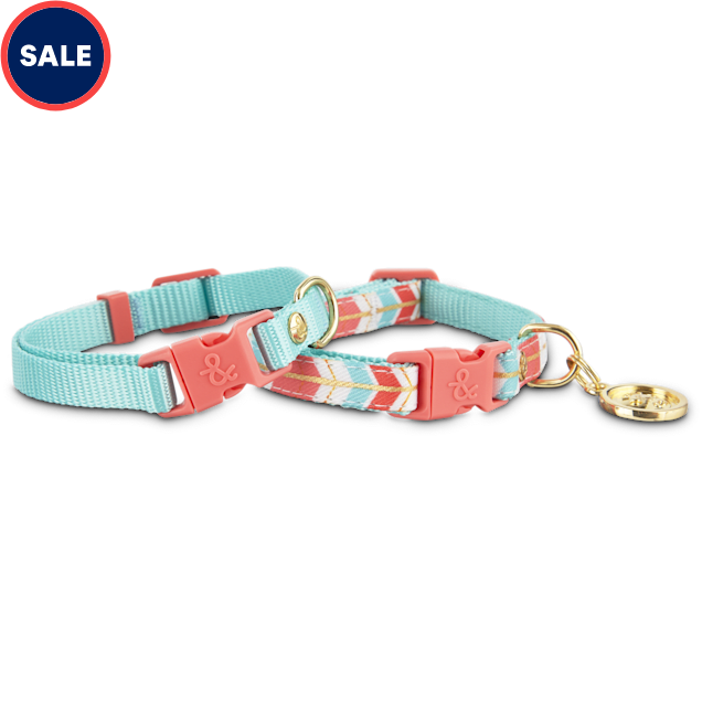 Toy breed collars Clearance