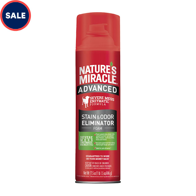 Nature's Miracle Advanced Stain & Odor Remover Foam, 17.5 oz. - Carousel image #1