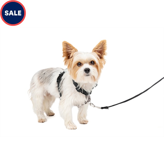 PetSafe 3 in 1 Harness, Extra Small, Black - Carousel image #1