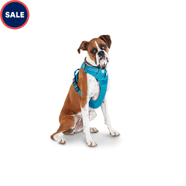 Charlie Comfortable Breathable Secure Co Adjustable Step in Dog Harness Simple & Easy to Fit Keep it Teal, 3