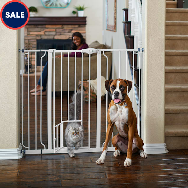EveryYay In The Zone Extra-Tall Walk-Through Pet Gate, 29-50" W X 41" H - Carousel image #1