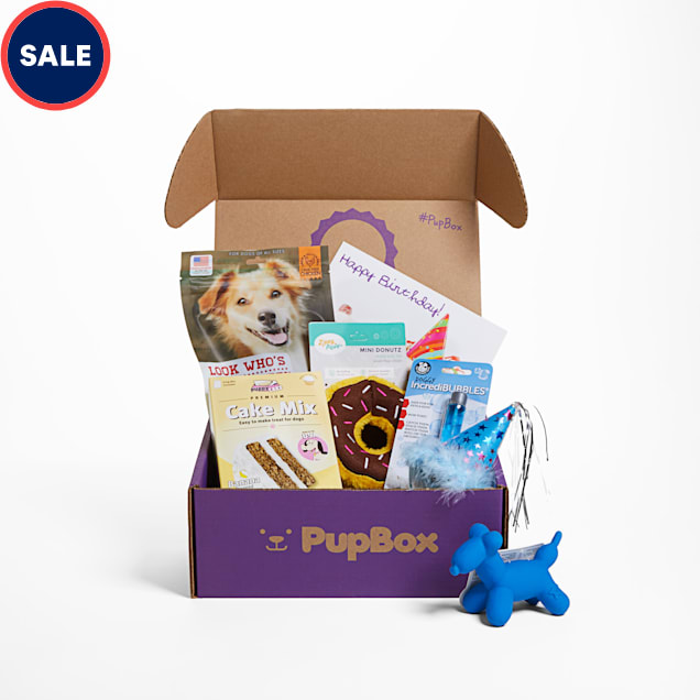 PupBox Birthday Boy Box, Small - Carousel image #1