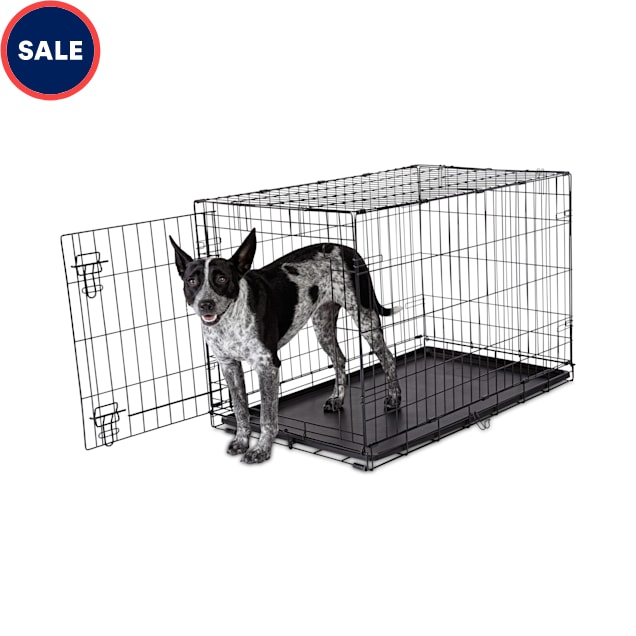 Animaze 1-Door Folding Dog Crate, 36.5" L x 23.2" W x 24.7" H - Carousel image #1